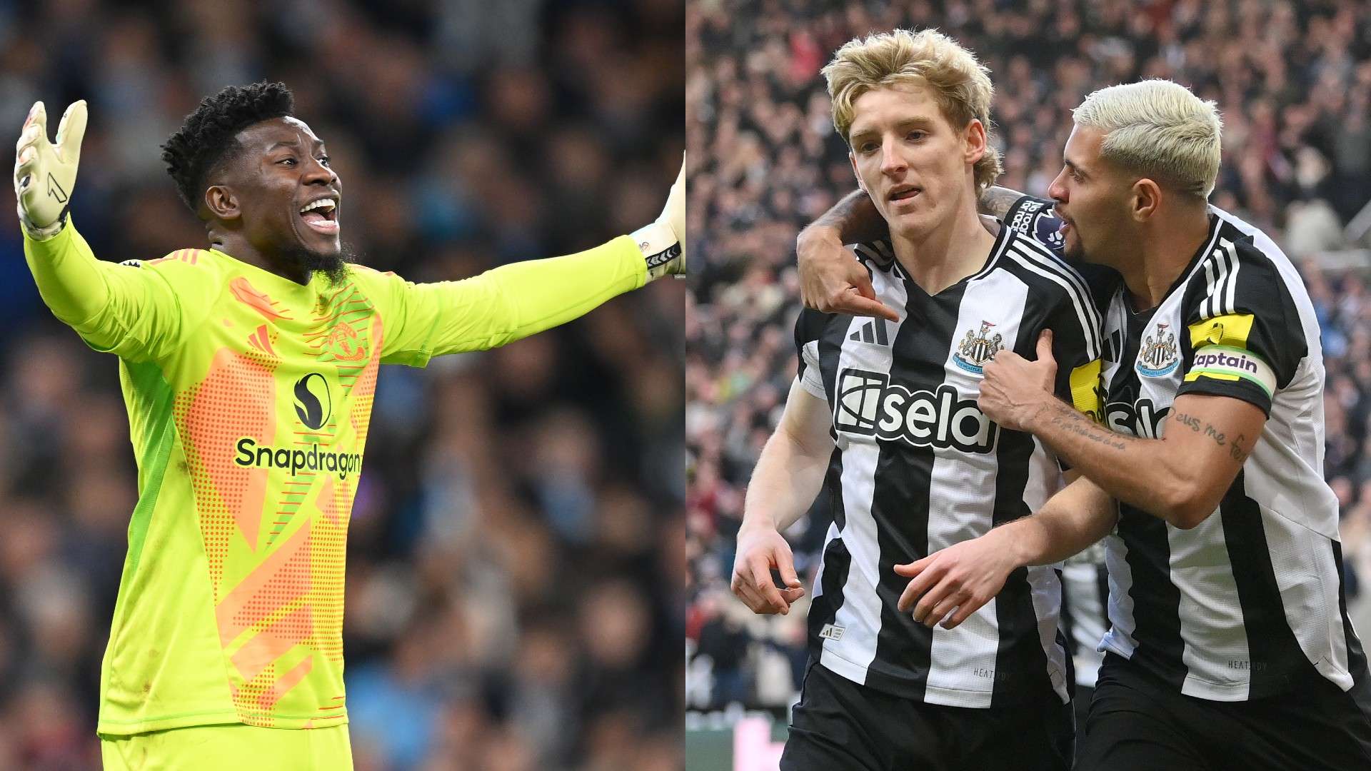 促进了不同 促进了不同